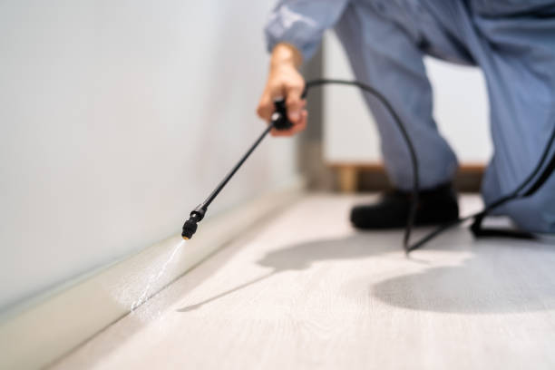 Licensed Pest Control service in Reidsville, GA - Show Me Pest Control