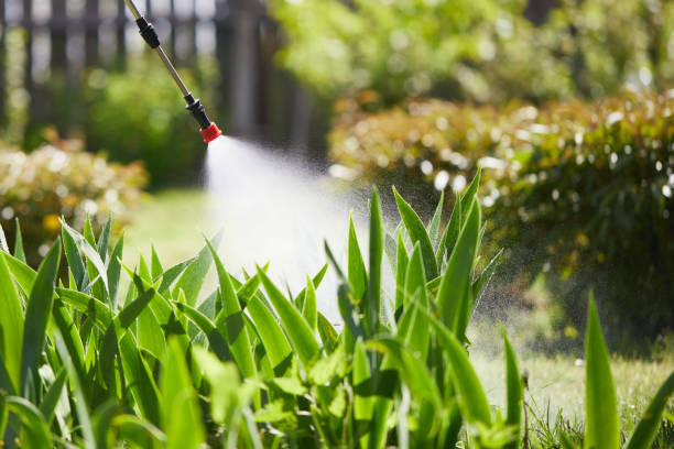 24/7 Emergency Mosquito Control experts in Reidsville, GA